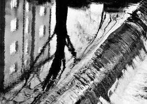_DSC1235bw