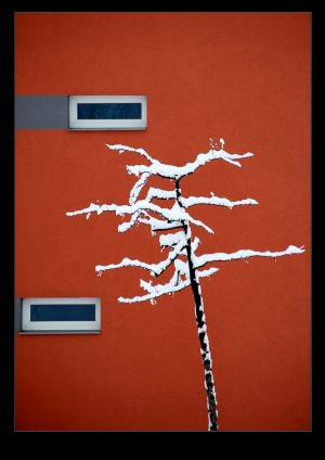 615809_e5c00