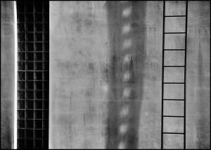 DSC_0164bw