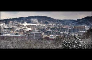 DSC_2051pan