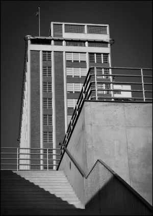 DSC_3024