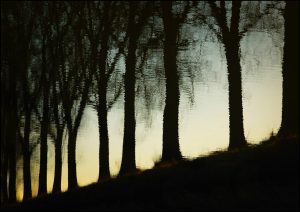 Podvecer-2