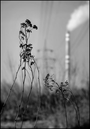 DSC_0032u2