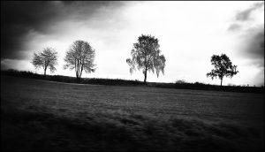 _SC_7245bw