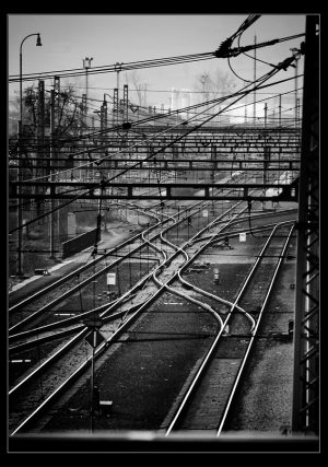 DSC_0036u1