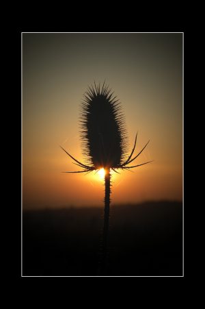 Proti_slunci_2