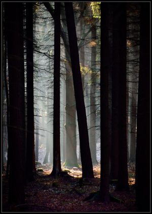 DSC_7680