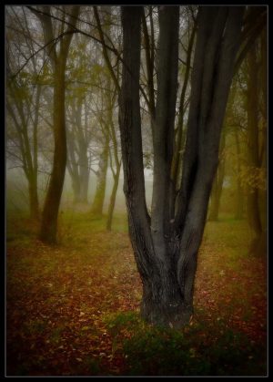 DSC_5845a