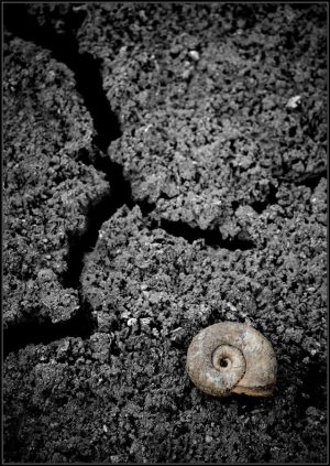 DSC_0166u1