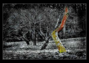 DSC_0008u2