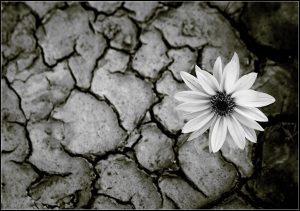 Destrukce-2